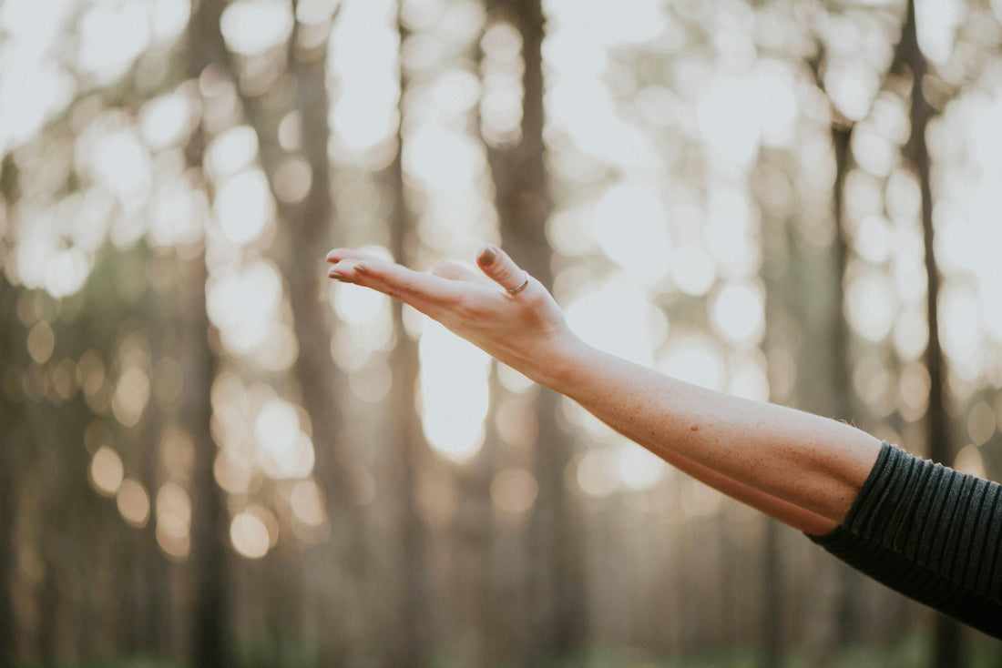 Gut Health + Weight Loss